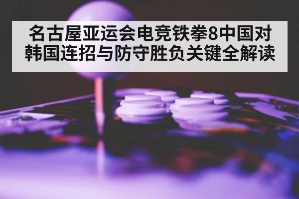 fighting game arcade stick